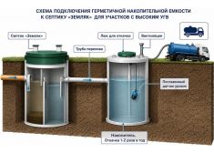 Зорде Рейн 5 Миди